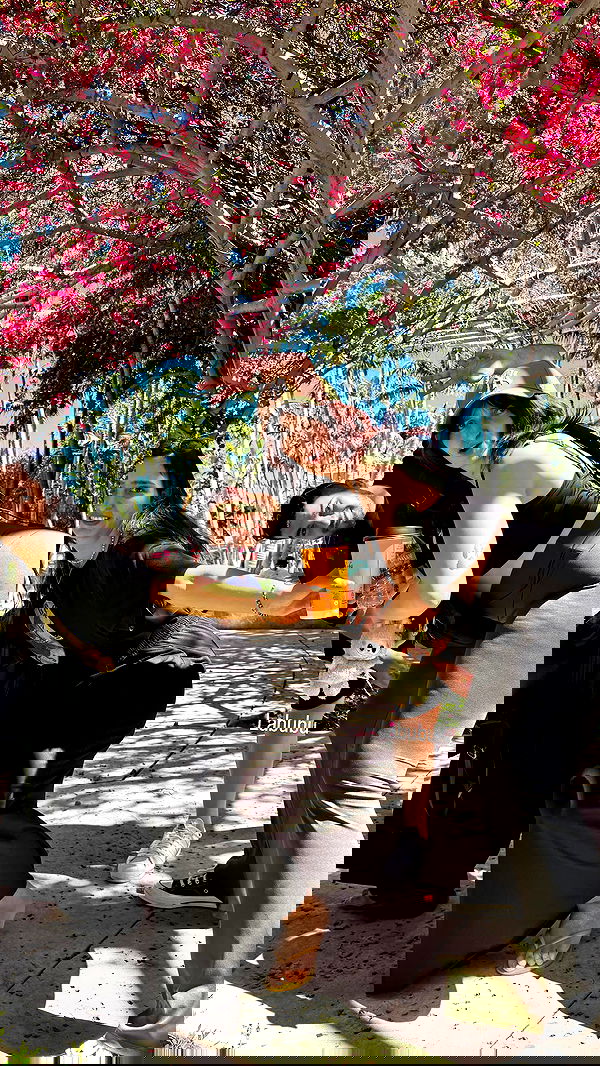 biton__adi biton__adi archive image