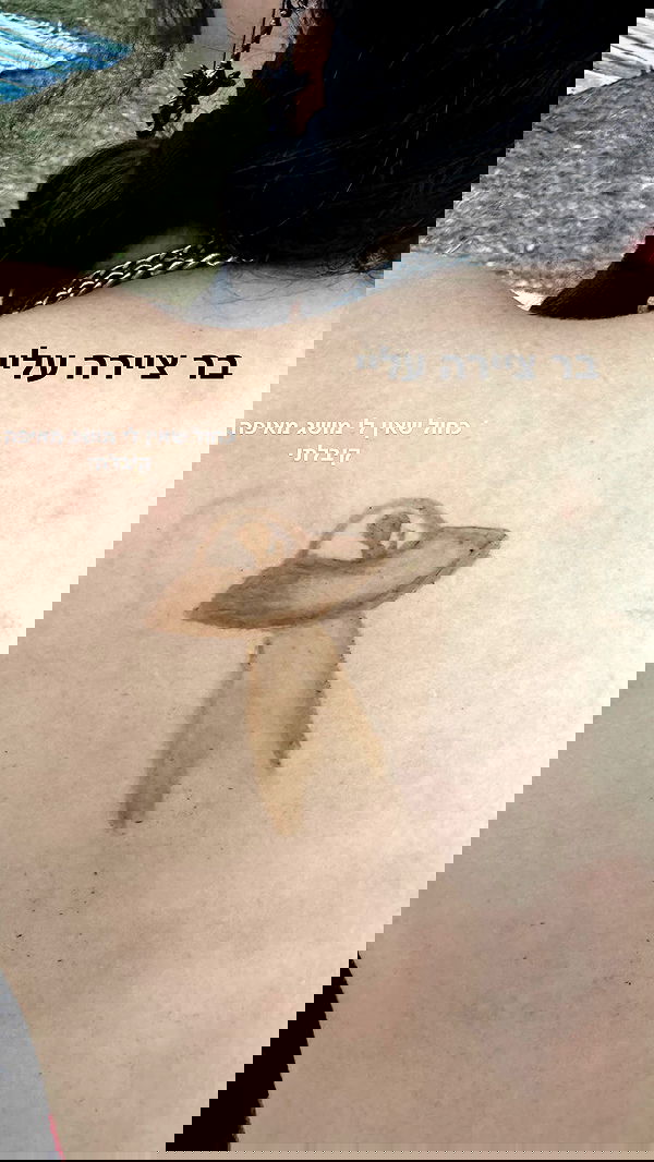 biton__adi biton__adi archive image