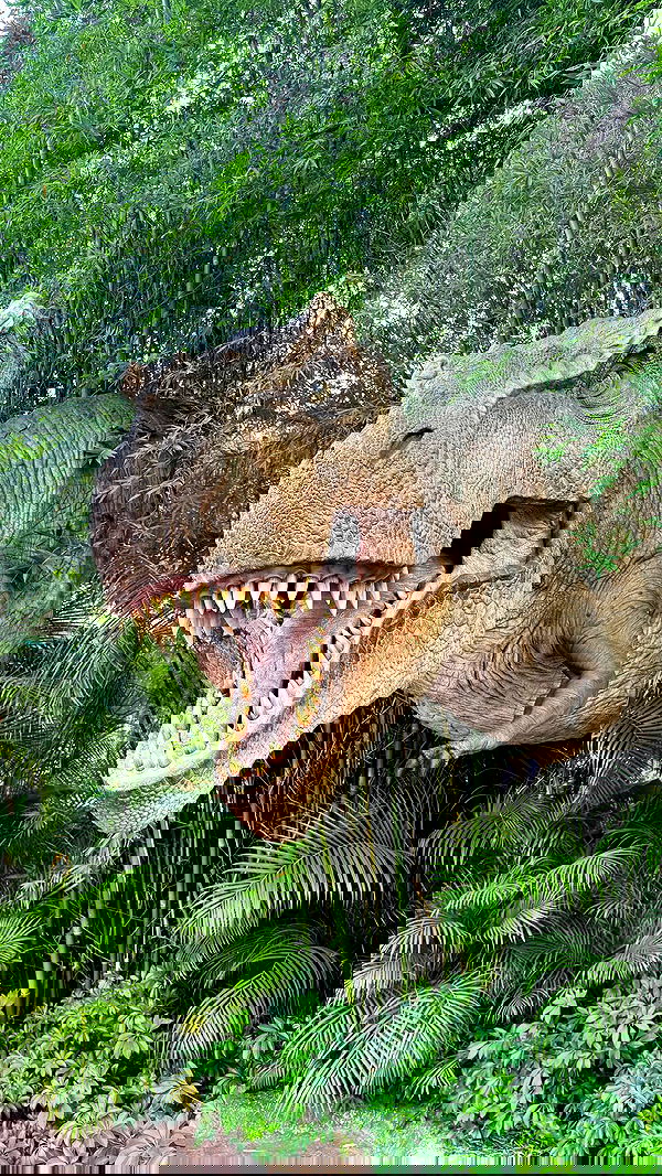 biton__adi biton__adi archive image