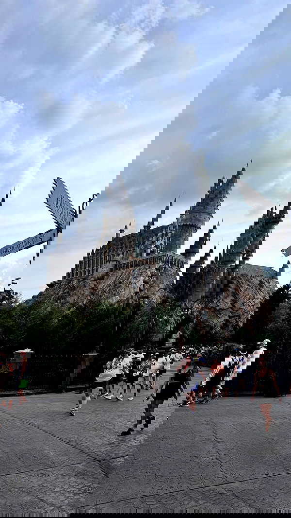 biton__adi biton__adi archive image