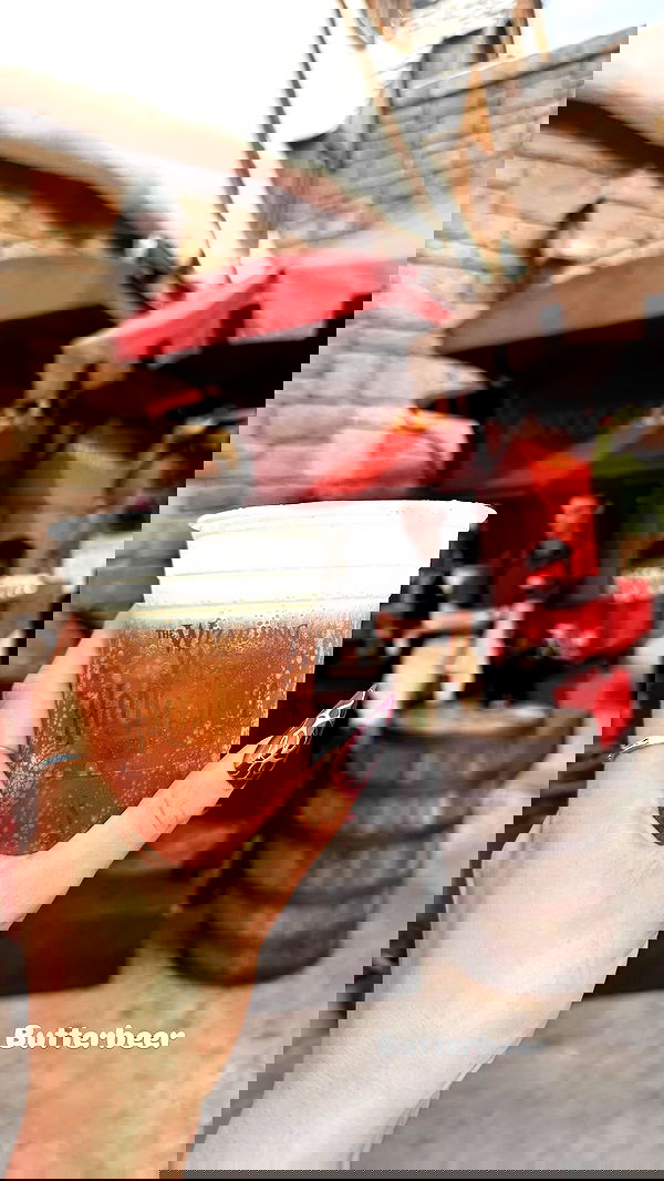 biton__adi biton__adi archive image