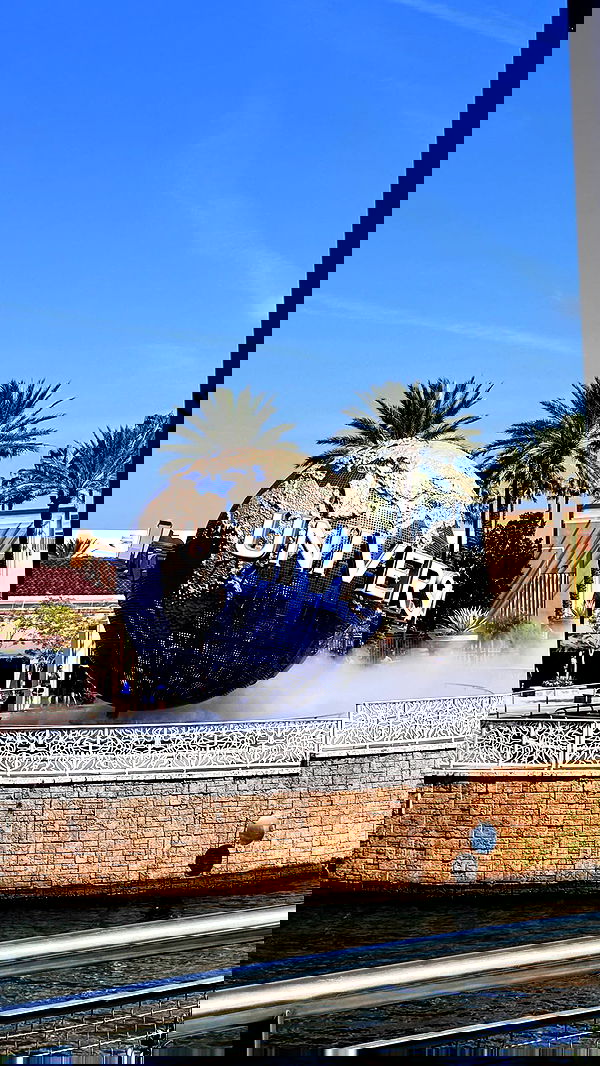 biton__adi biton__adi archive image