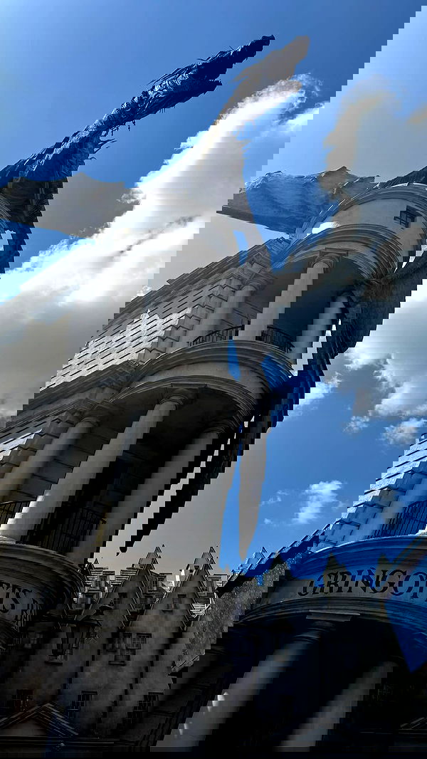 biton__adi biton__adi archive image