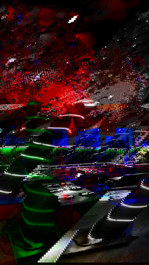 biton__adi biton__adi archive image