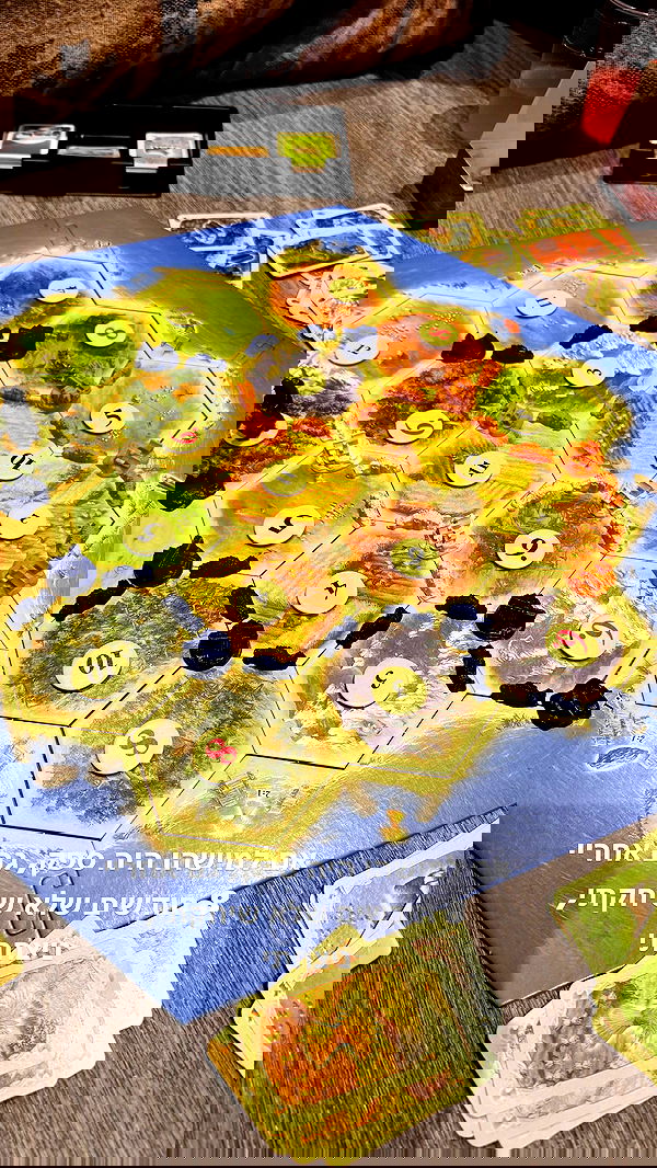 biton__adi biton__adi archive image