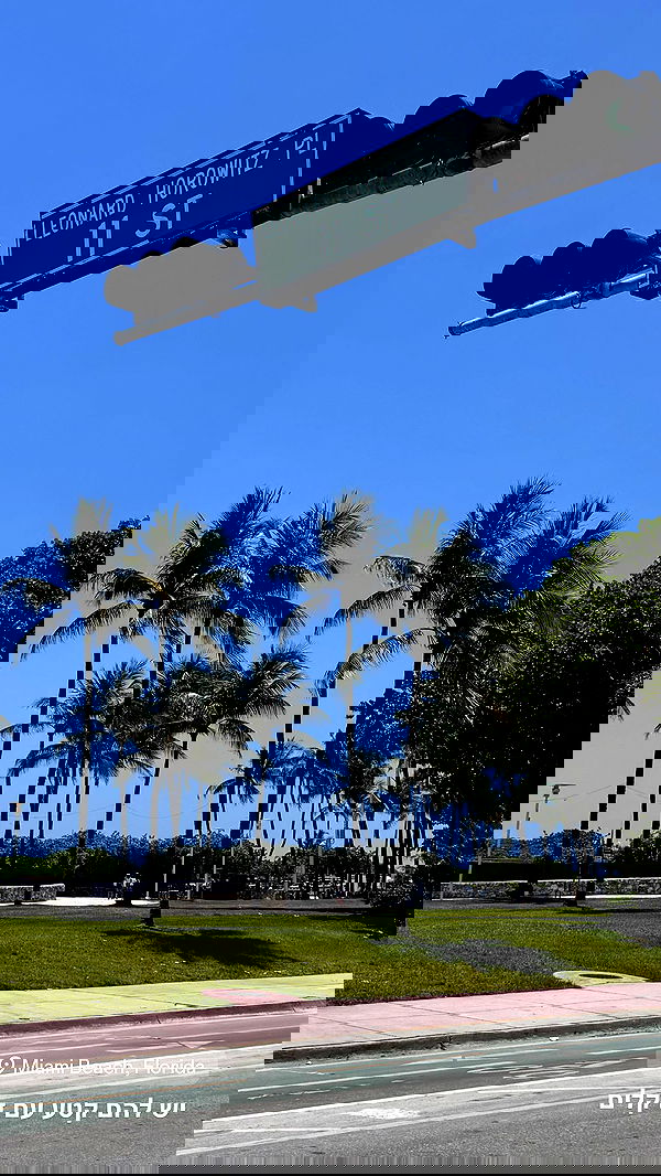 biton__adi biton__adi archive image