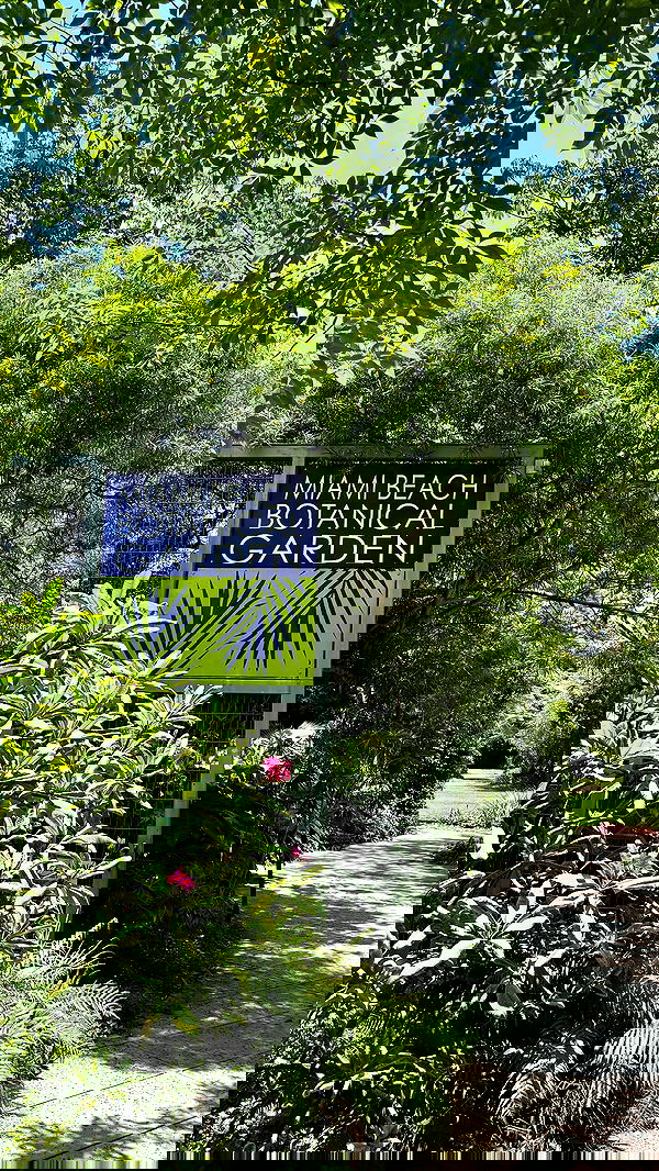 biton__adi biton__adi archive image