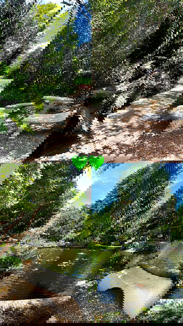 biton__adi biton__adi archive image