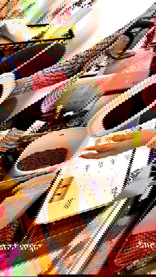 biton__adi biton__adi archive image