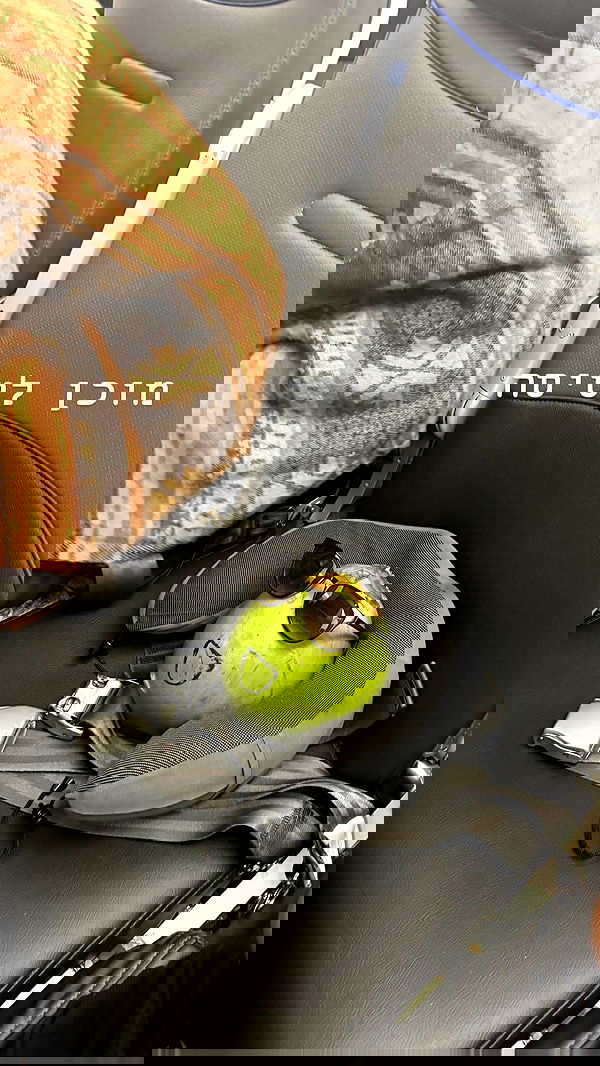 biton__adi biton__adi archive image