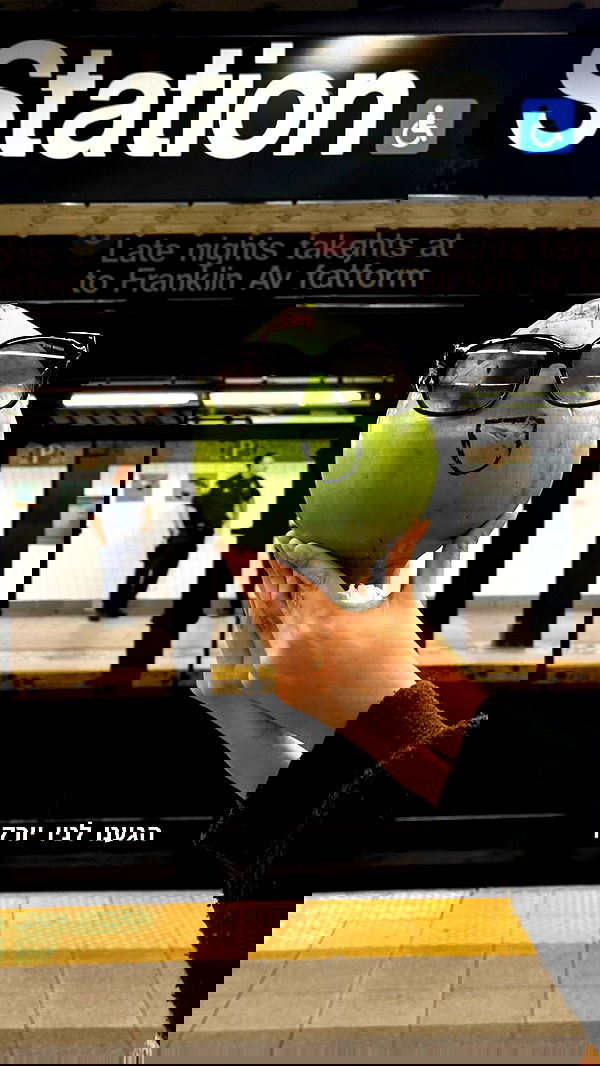 biton__adi biton__adi archive image