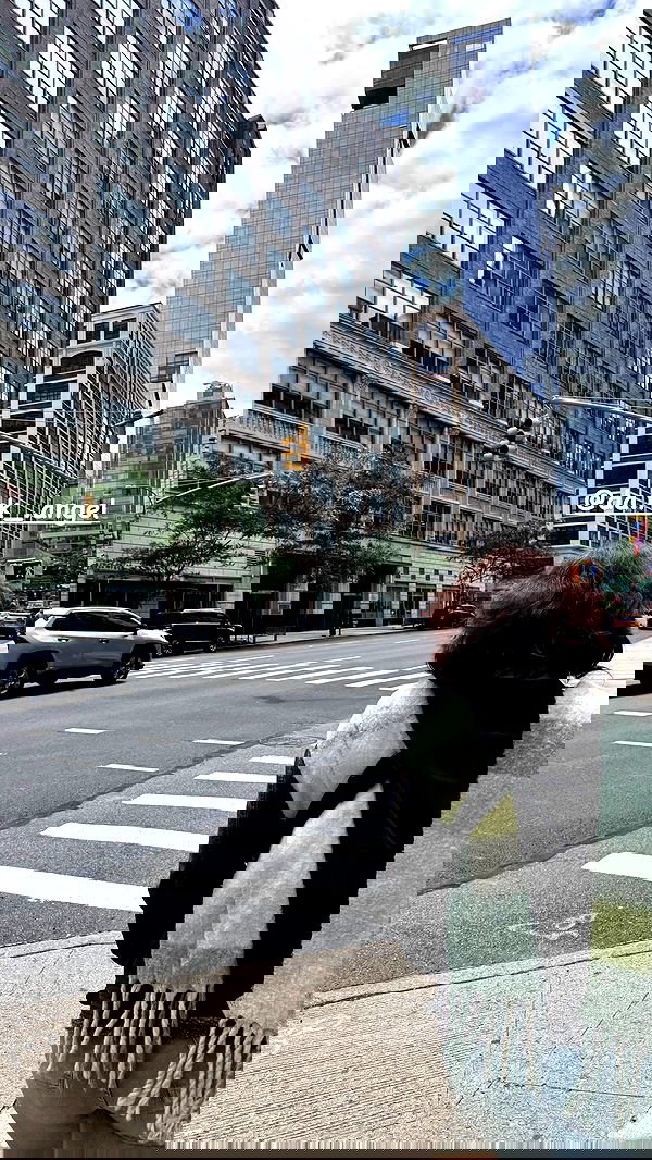 biton__adi biton__adi archive image