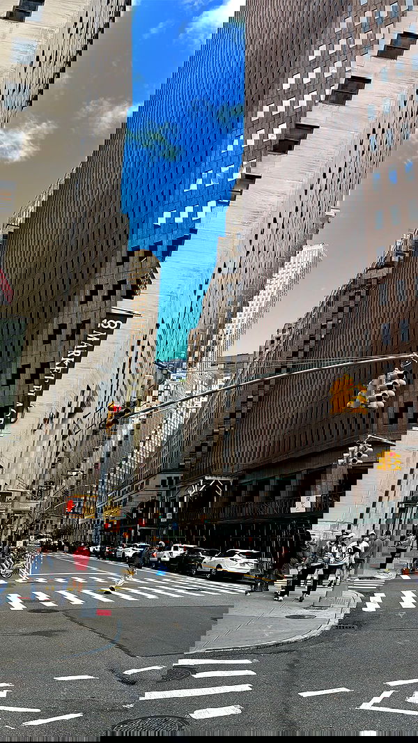 biton__adi biton__adi archive image