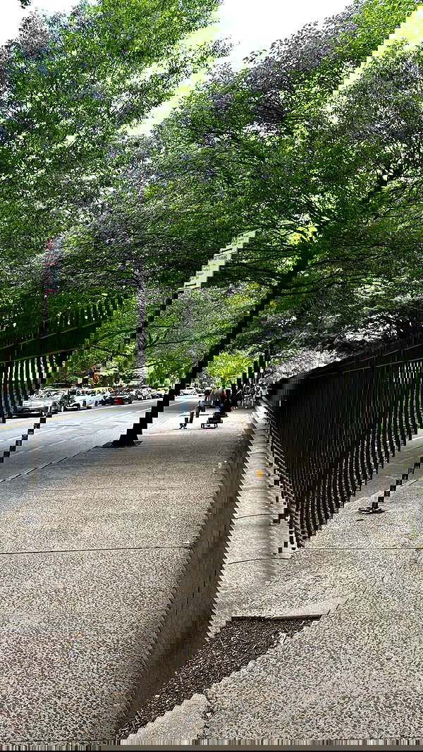 biton__adi biton__adi archive image