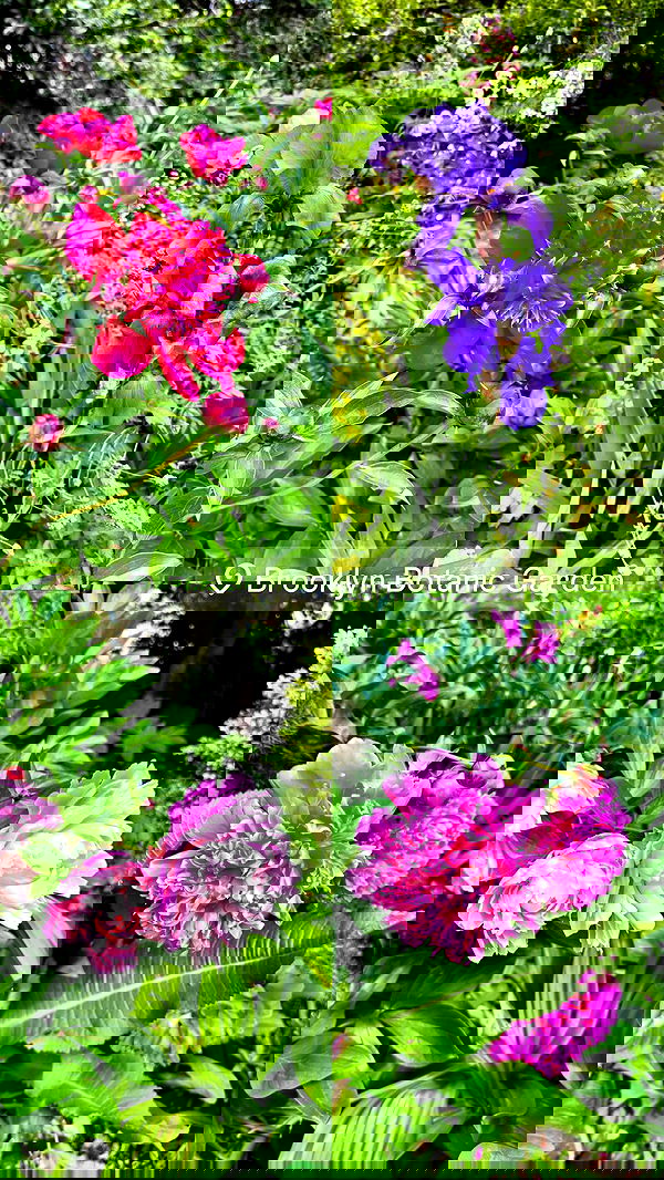 biton__adi biton__adi archive image