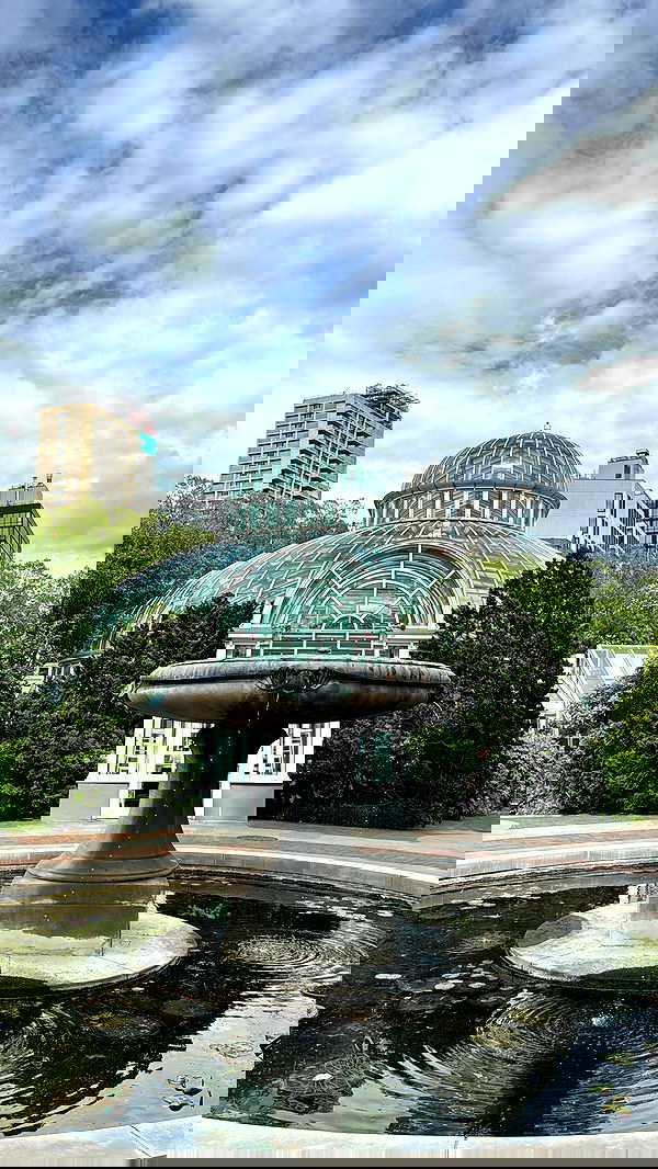 biton__adi biton__adi archive image