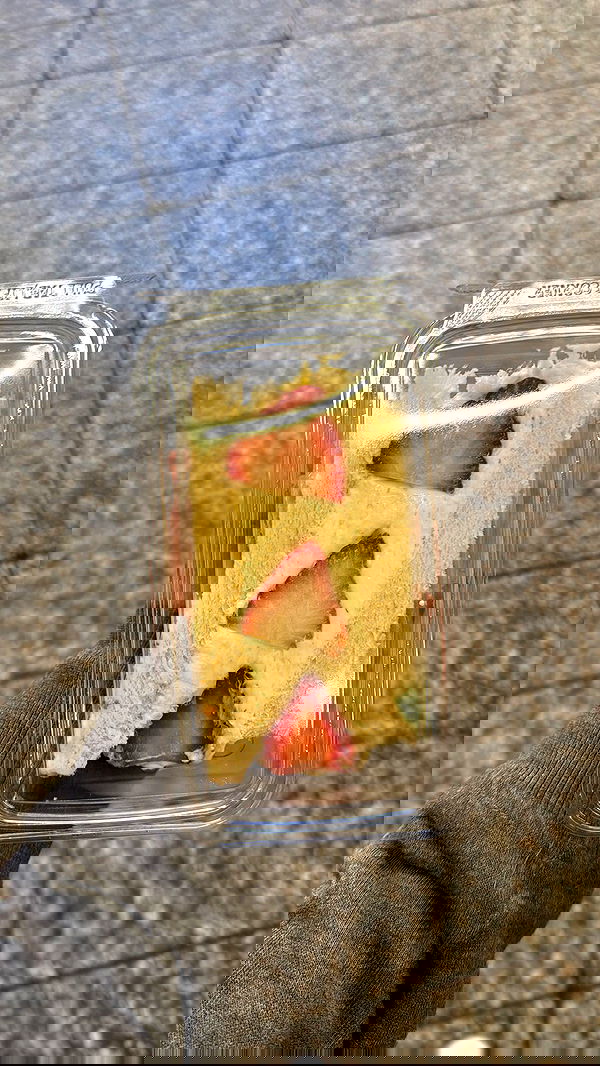 biton__adi biton__adi archive image