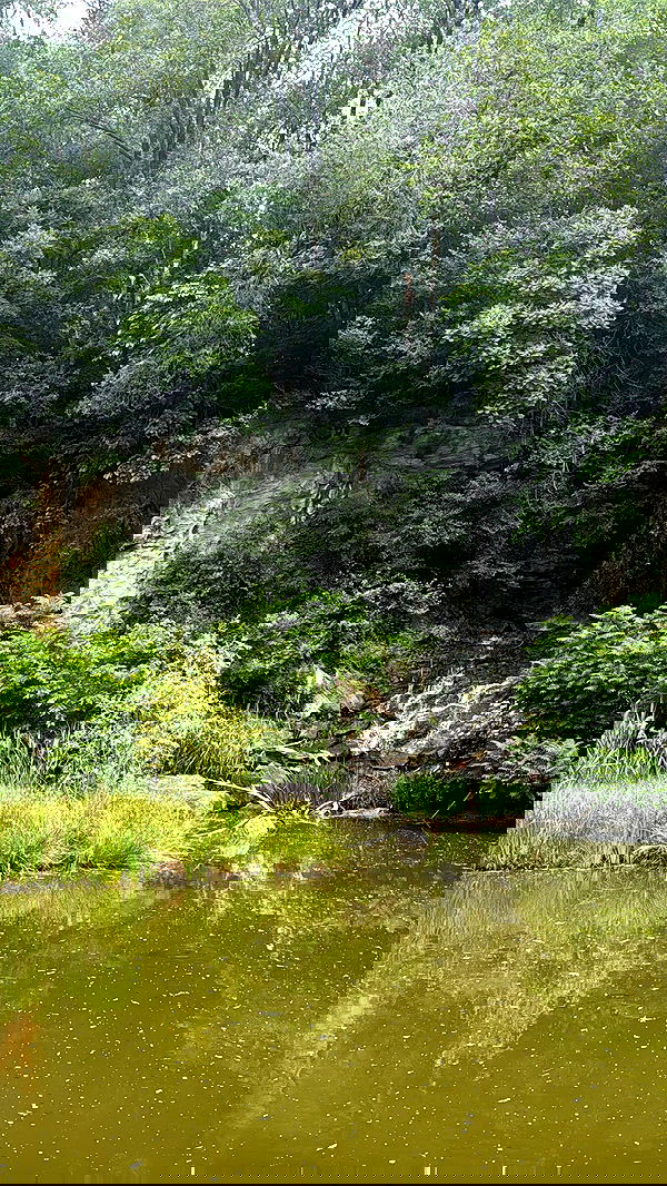 biton__adi biton__adi archive image