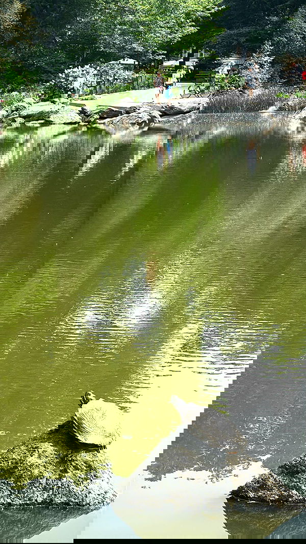 biton__adi biton__adi archive image