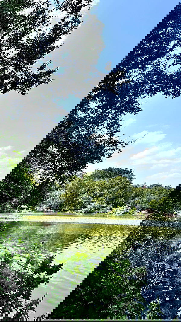 biton__adi biton__adi archive image