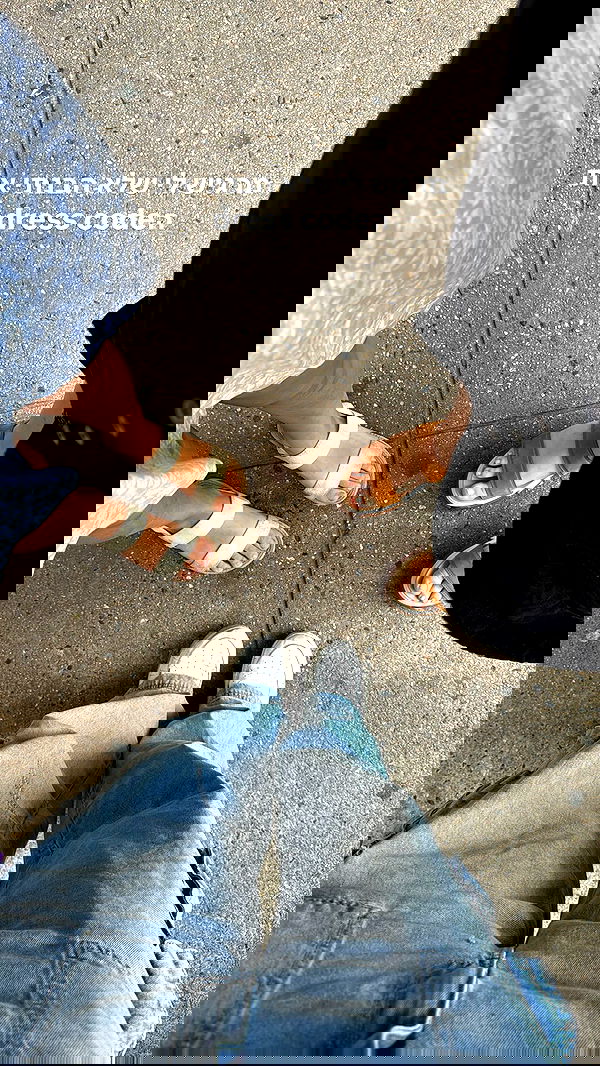 biton__adi biton__adi archive image