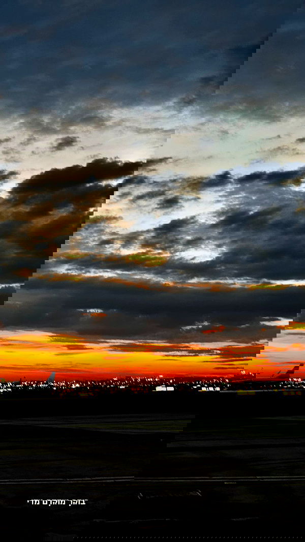 biton__adi biton__adi archive image