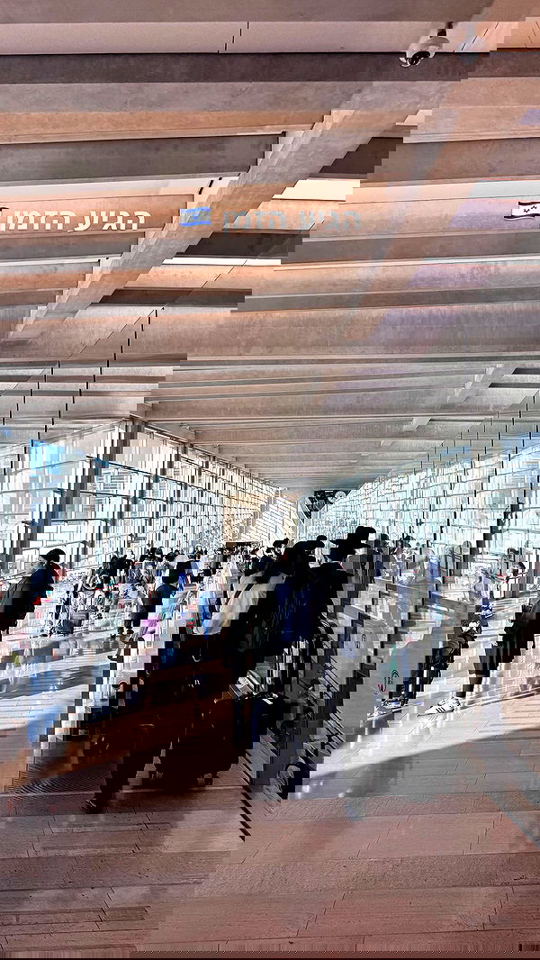 biton__adi biton__adi archive image