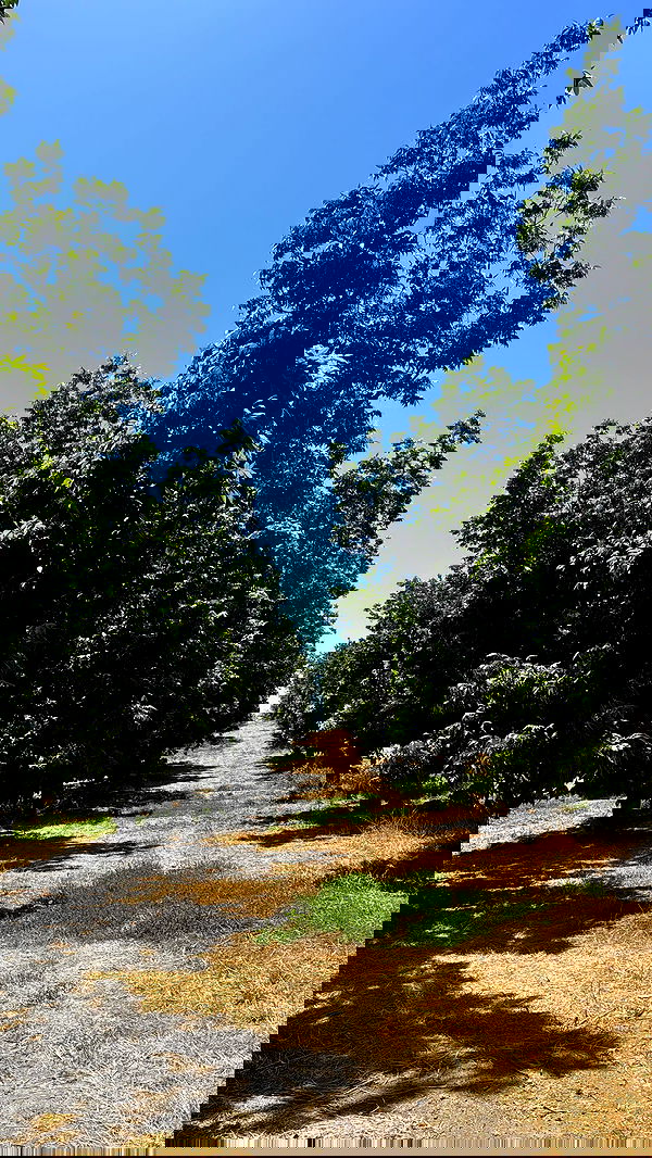 biton__adi biton__adi archive image