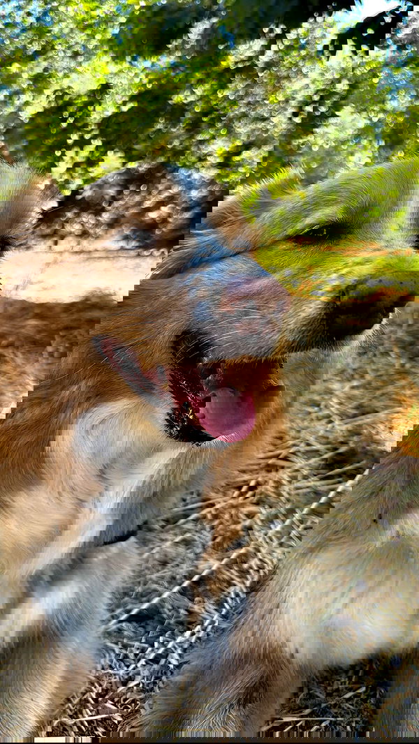 biton__adi biton__adi archive image