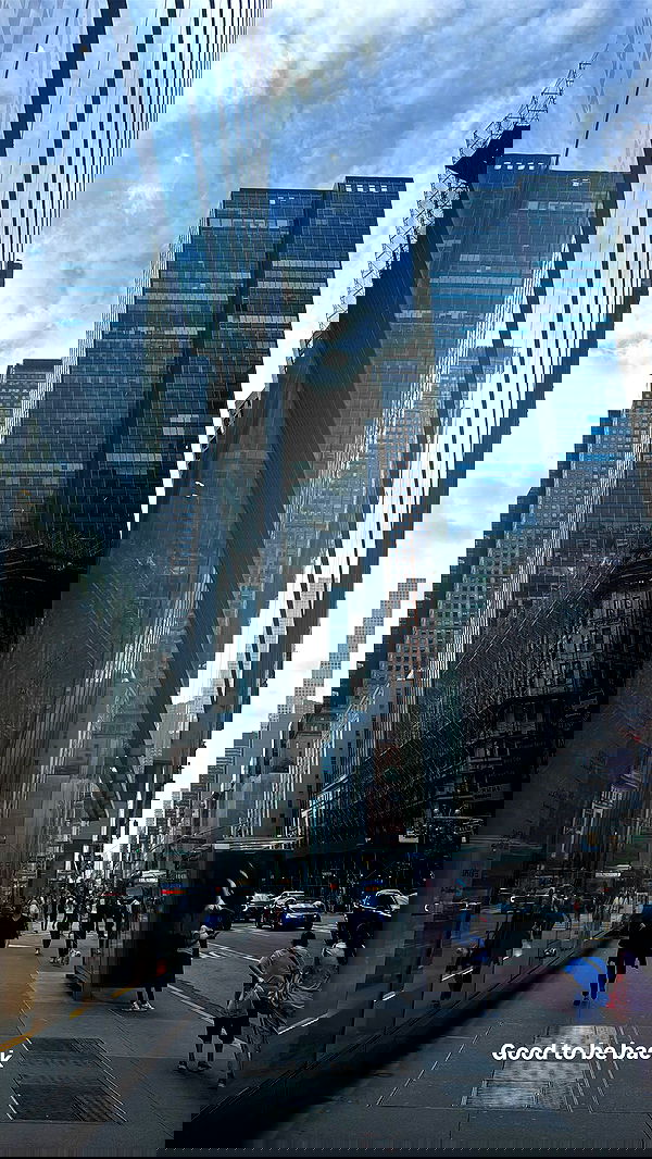 biton__adi biton__adi archive image