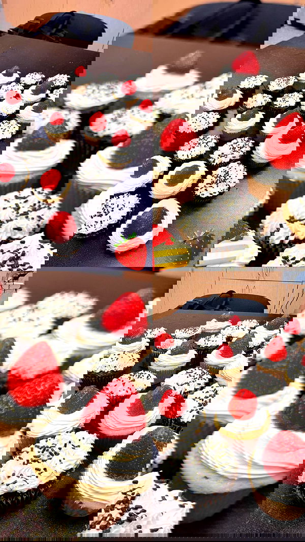 biton__adi biton__adi archive image