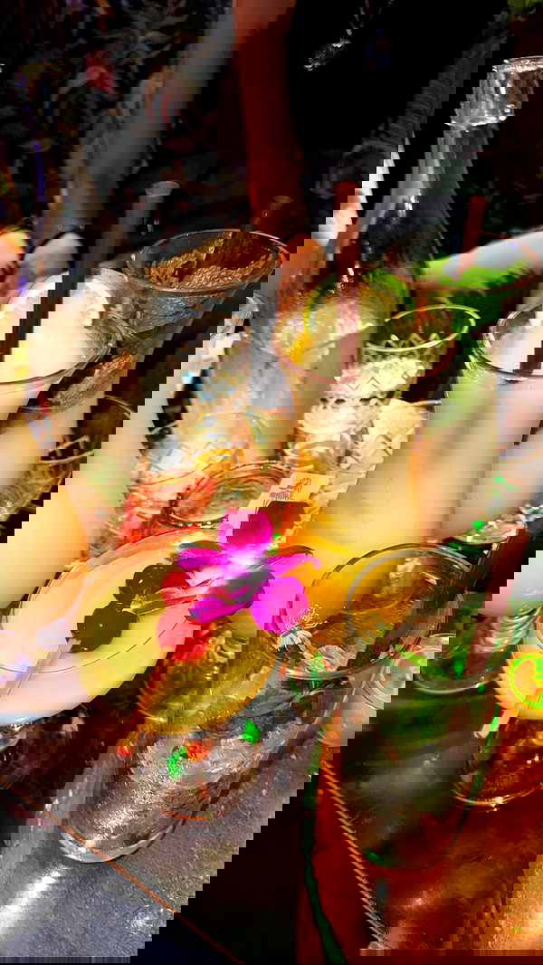 biton__adi biton__adi archive image