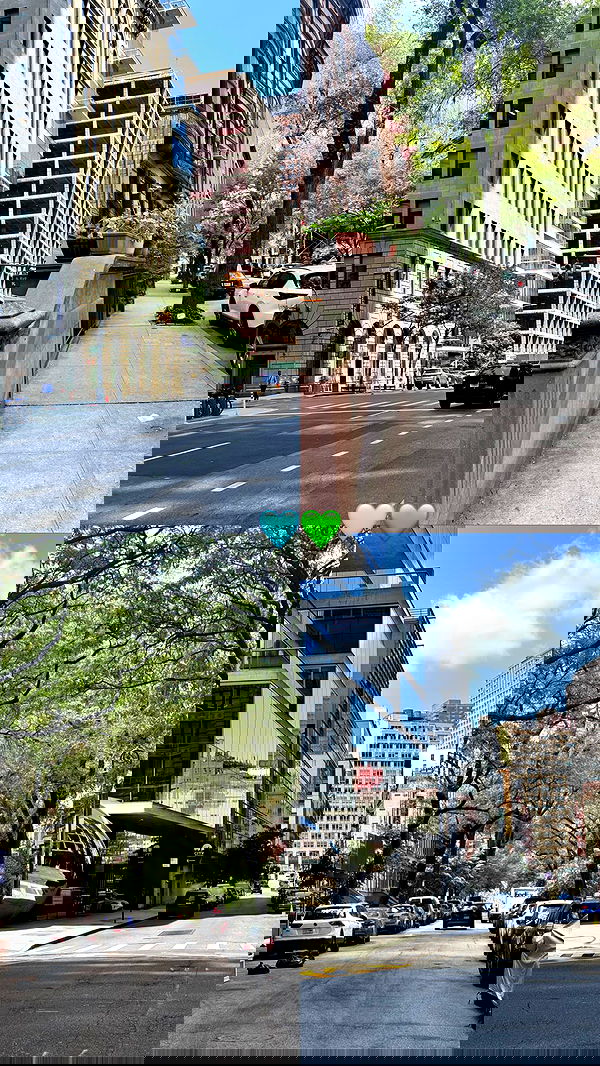 biton__adi biton__adi archive image