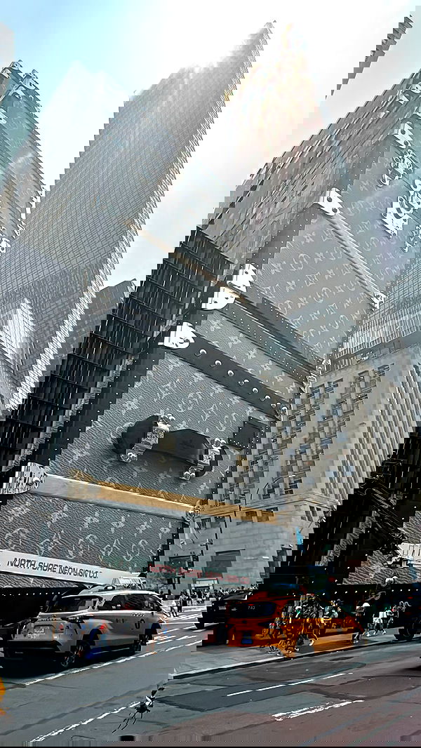 biton__adi biton__adi archive image