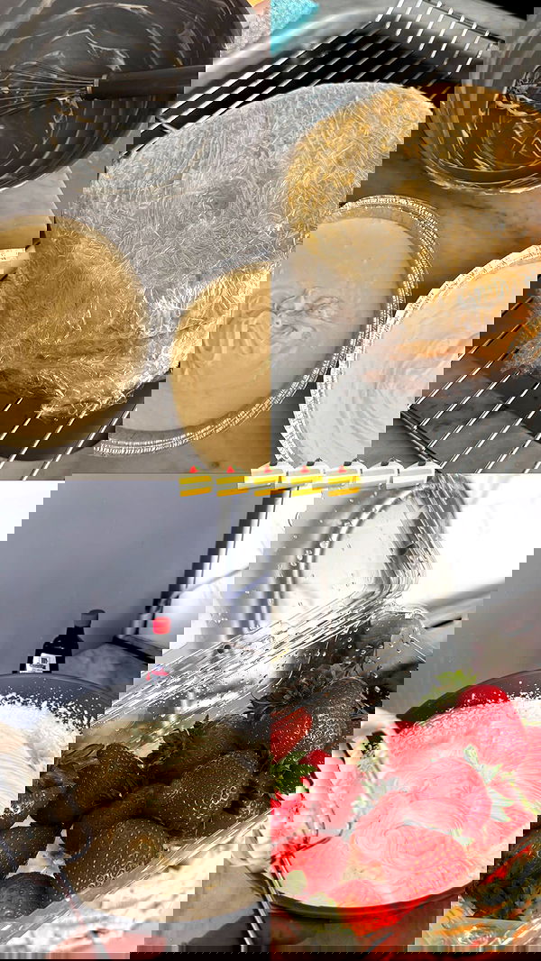 biton__adi biton__adi archive image