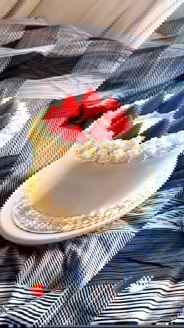 biton__adi biton__adi archive image