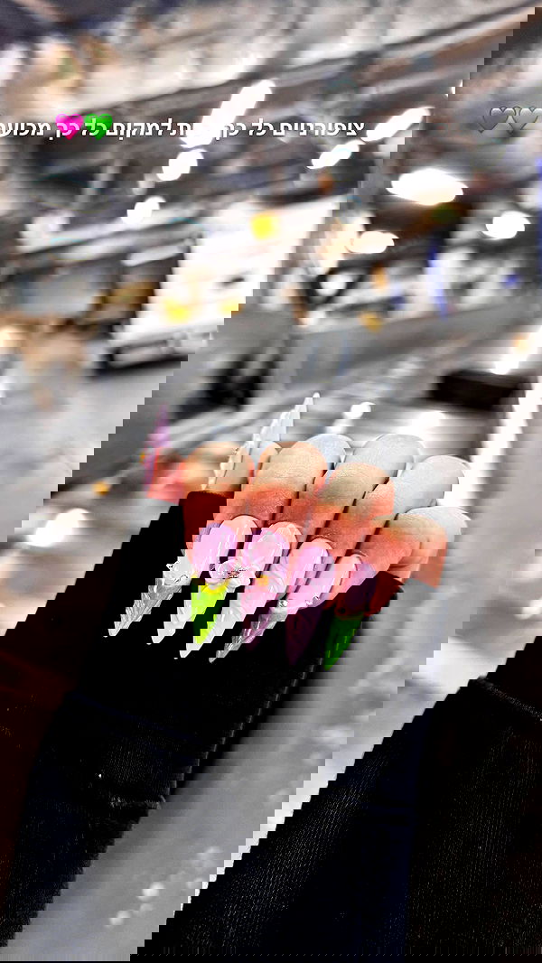 biton__adi biton__adi archive image