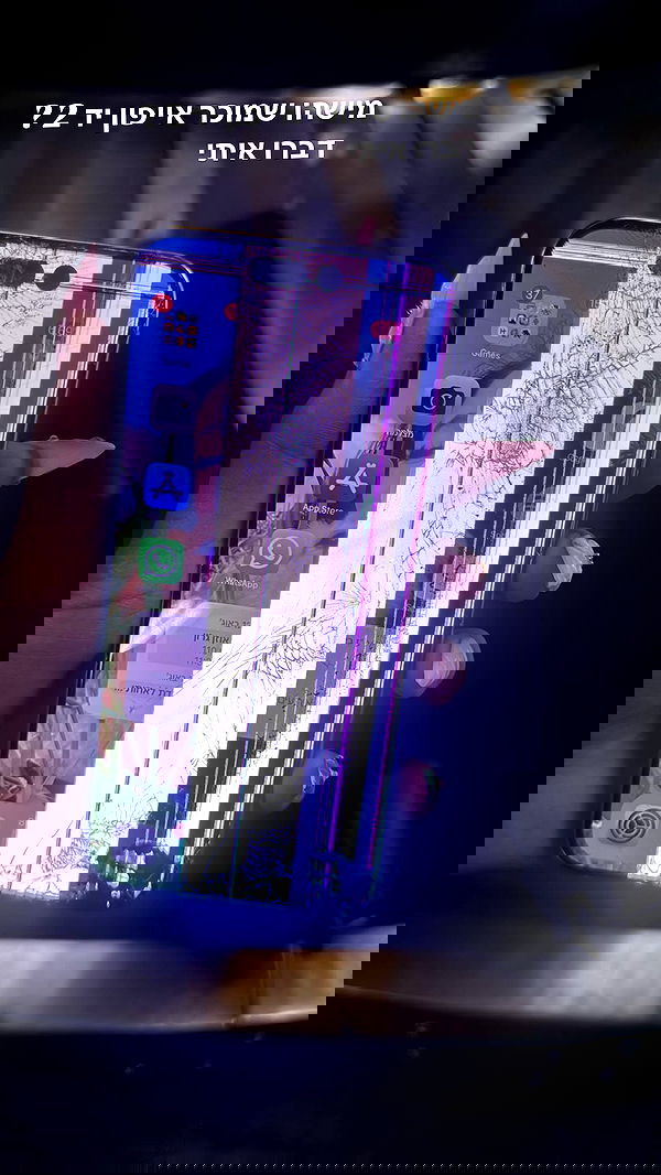 biton__adi biton__adi archive image