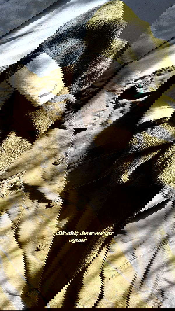 biton__adi biton__adi archive image