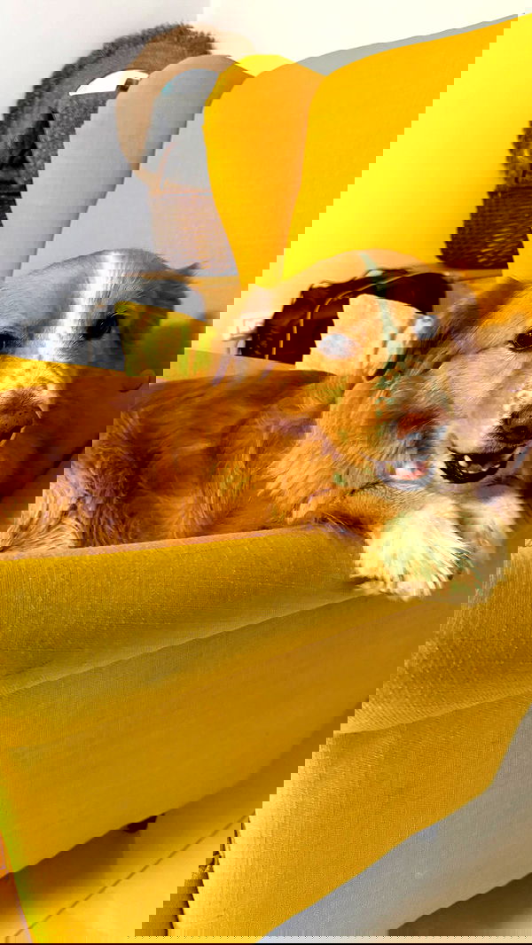 biton__adi biton__adi archive image