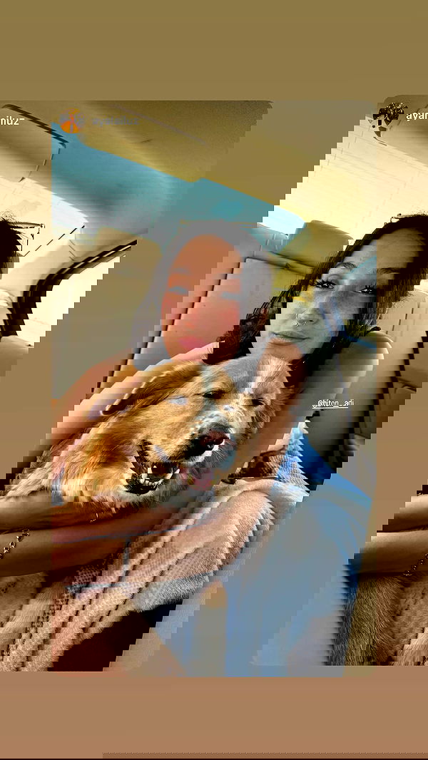 biton__adi biton__adi archive image