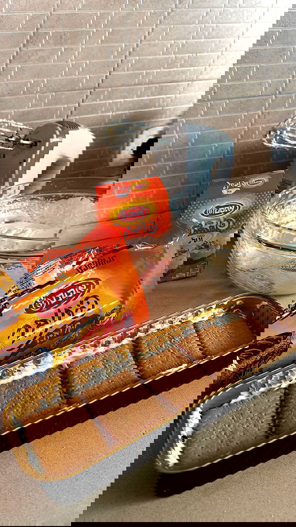 biton__adi biton__adi archive image