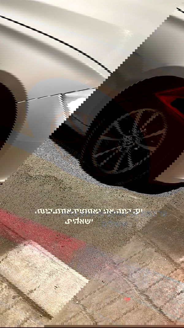 biton__adi biton__adi archive image