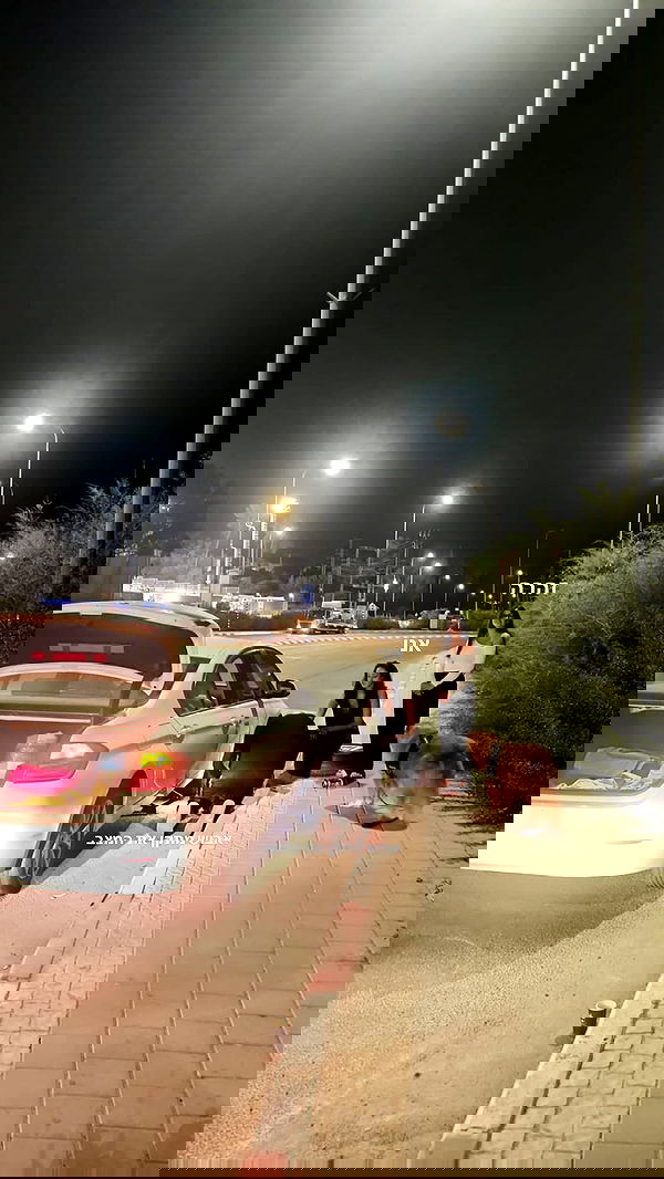 biton__adi biton__adi archive image