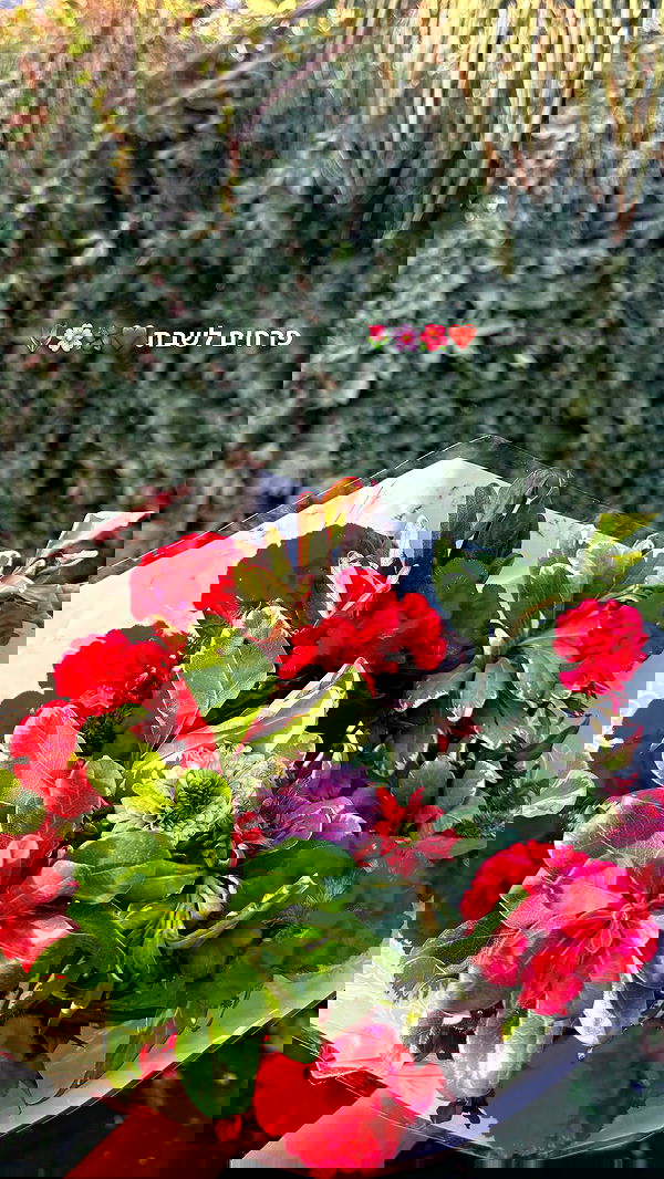 biton__adi biton__adi archive image