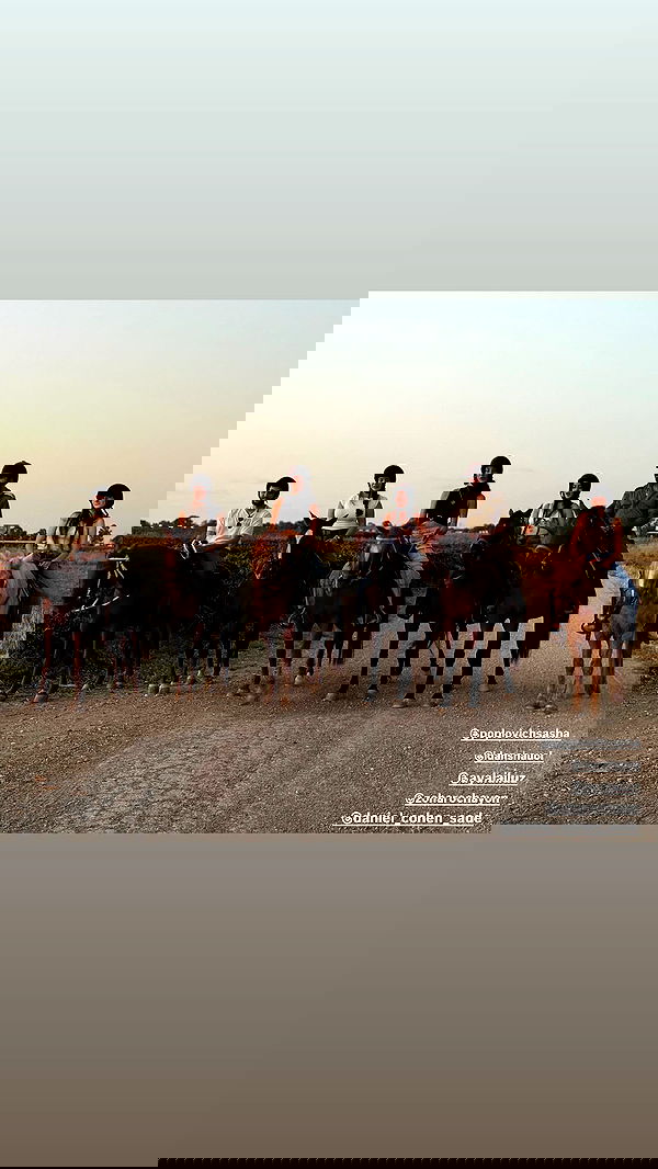 biton__adi biton__adi archive image