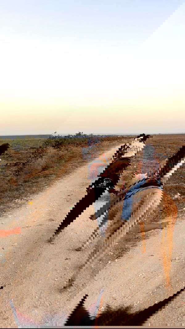 biton__adi biton__adi archive image