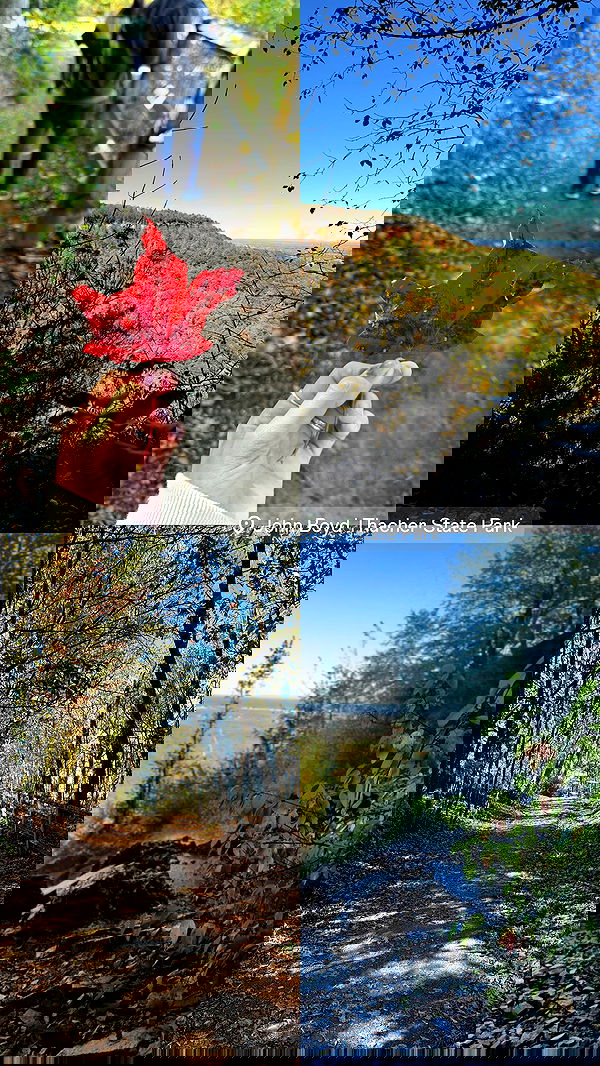 biton__adi biton__adi archive image