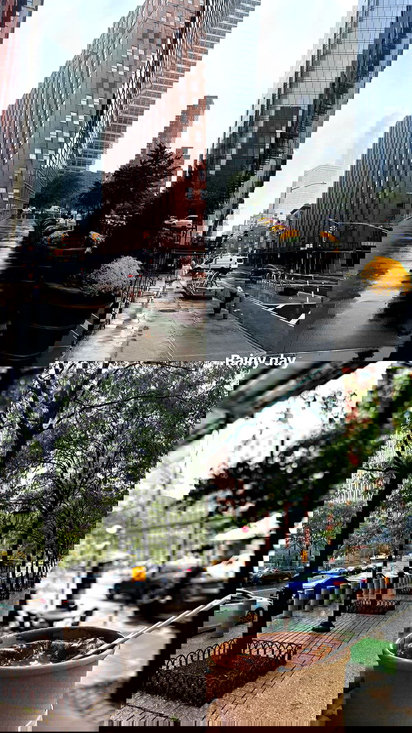 biton__adi biton__adi archive image