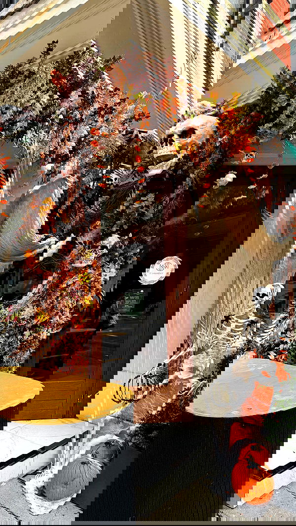 biton__adi biton__adi archive image